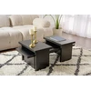 Image de Skye Decor, Sanctuary - Wood Black, Table basse, bois noir, 100 % panneau de particules mélaminé, 110 x 45 x 41,5