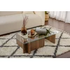 Image de Skye Decor, Flavio - Noyer, table basse, noyer, verre trempé à 100 %, 105 x 65 x 30