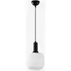 Image de Suspension En Métal Et Verre Asker 20 - Noir
