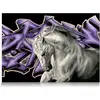 Image de STAR Puzzle Cheval blanc 1000 pièces
