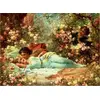 Image de Casse-tête ANATOLIEN Gazebo rose 1000 pièces