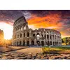Image de MAGNOLIA Puzzle 1000 (extension)