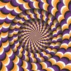 Image de Puzzle Magnolia « Illusion d'optique » - Puzzle de 1023 pièces multicolores