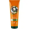 Image de Après-shampooing Herbal Essences Hydrate au parfum de noix de coco, 250 ml
