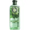 Image de MINT Nourishing Shampoo 350ML - Silicone Free