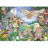 Image de Jumbo Spiele Falcon Owls in the Wood, puzzle, puzzle pour adultes, jeu de puzzle, 1000 pièces, 11286