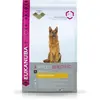 Image de Eukanuba Berger allemand 12 kg