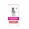 Image de Régime Vétérinaire Intestinal 12 Kg Adulte - Eukanuba