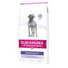 Image de Eukanuba Veterinary Diet Dog Dermatosis FP 12 kg