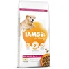 Image de IAMS Dog Senior Large Chicken 12 kg