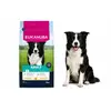 Image de Croquettes Eukanuba Pour Chiens De Race Moyenne Au Poulet, 15 Kg, Adulte