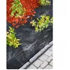 Image de Tissu de protection pour sol contre les mauvaises herbes Nature 2×5 m Noir