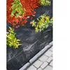 Image de Tissu de sol anti-mauvaises herbes Nature 3,3×5 m noir