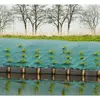 Image de Tissu de protection du sol contre les mauvaises herbes Nature 1×10 m Vert