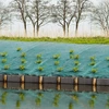 Image de Nature Tissu de protection du sol contre les mauvaises herbes 3,3×5 m Vert