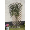 Image de Nature Treillis de jardin 50x150 cm bois naturel