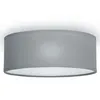 Image de Ranex - Ra-1000465 Plafonnier Mia Led 30cm Gris