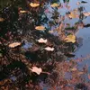 Image de Ubbink PondNet filet anti-feuilles 3 x 4 m vert