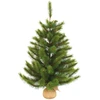 Image de Triumph Tree Sapin De Noël Artificiel Vert H90xl69xl69cm