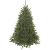 Image de Triumph Tree Arbre de Noël artificiel Bristlecone - 99x99x155 cm - Aiguille dure - Vert