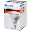 Image de Philips Lampe à infrarouge BR125 IR 250W E27 230-250V CL
