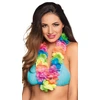 Image de Collier Hawaiien Ohana De Luxe Multicolore