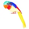 Image de Perroquet tweets