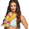 Image de Collier Rainbow Multicolore