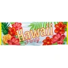 Image de BanniÃ¨re - HawaÃ¯ Party - Paradise