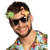 Image de Lunettes Party Hawai