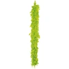 Image de Boa Plumes Vert