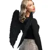 Image de Paire D'Ailes Noires - accessoire Halloween