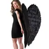 Image de Ailes Noir d'Ange DÃ©chu