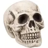 Image de TÃªte de mort : Bighead