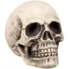 Image de TÃªte de mort : Supermind