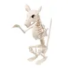 Image de Squelette de Rat