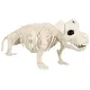 Image de Squelette de Chien