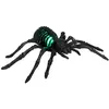 Image de Squelette d'araignÃ©e Led