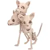 Image de Squelette Cerberus