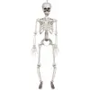 Image de Squelette Ã  suspendre articulÃ© 90cm