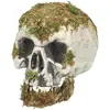 Image de TÃªte de mort des marais