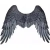 Image de Les ailes de l'archange noir 95x75cm