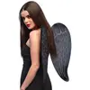Image de Ailes : Ange Noir