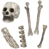 Image de Set 6 TÃªte de mort et os