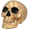 Image de TÃªte de mort Maxilla avec mÃ¢choire mobile or