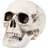 Image de DÃ©coration d'Halloween - CrÃ¢ne en Plastique