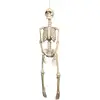 Image de DÃ©coration Suspendue Squelette 92 cm