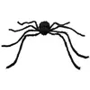 Image de AraignÃ©e Velue : XL