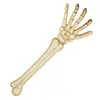 Image de Bras de squelette 46cm