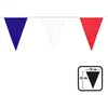 Image de Guirlande de fanions polyester France bleu/blanc/rouge - 26 x 18 cm - 6 m